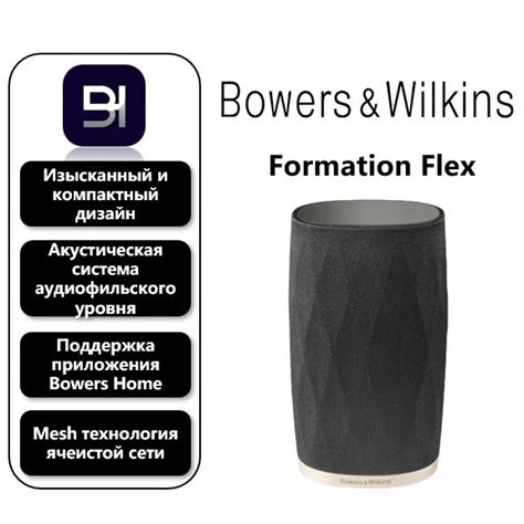 Bowers & Wilkins Formation Flex Беспроводная Bluetooth-колонка для ...