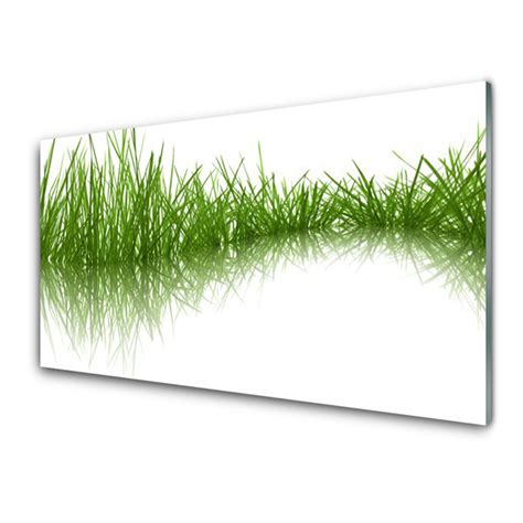 Panneaux De Cuisine En Verre Herbe Nature Vert Tulup Fr