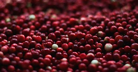 Cranberries Are Healthy But You Need To Know The Full Story