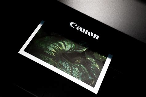 The Best Epson Photo Scanners You Can Buy in 2022