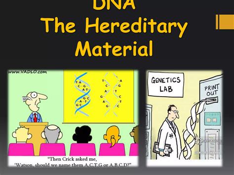 Dna the hereditary material | PPTX