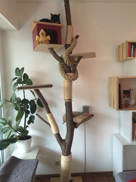 A Cat Tree That Is In The Middle Of A Room With Two Cats On Top Of It