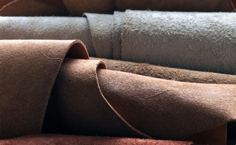 Кожевенное производство: сырье, технология изготовления, оборудование