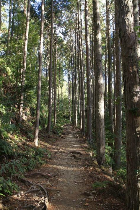 Kumano Kodo Pilgrimage Routes Stock Image Image Of Climbing Range
