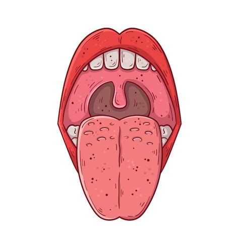 Une Bouche Humaine Ouverte Avec Une Langue Saillante Illustration