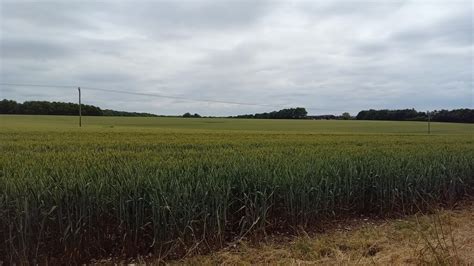 Grassland East Of Overton Road Peter Whatley Cc By Sa 2 0 Geograph