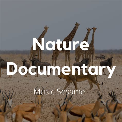 Nature Documentary Stock Music - Lifetime Royalty Free Music Subscription