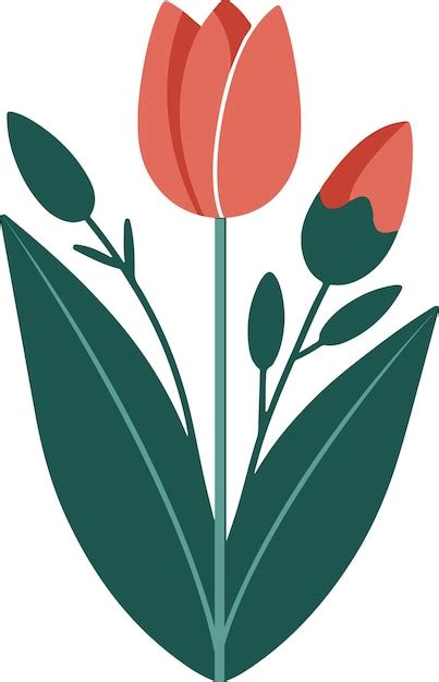 Premium Vector Minimalistic Flat Vector Tulip Summer Illustration On