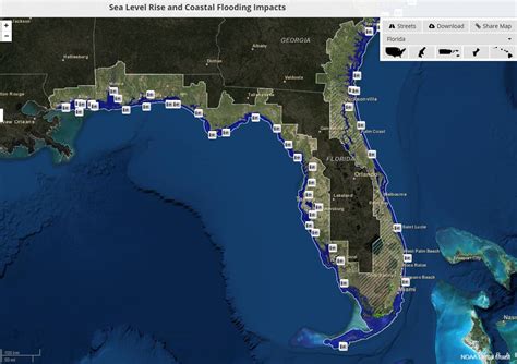 Florida Sea Level Map Printable Maps