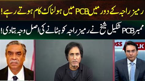 Member PCB Shakeel Sheikh Disclosed Real Reason Of Ramiz Raja Removal