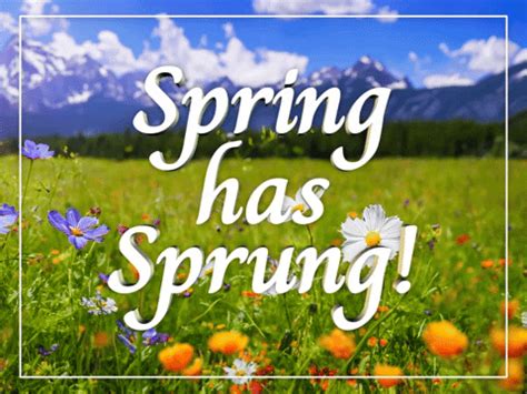 day  spring gifs gifdbcom