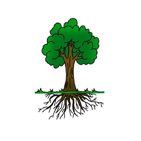 easy tree drawing ideas   draw  tree blitsy
