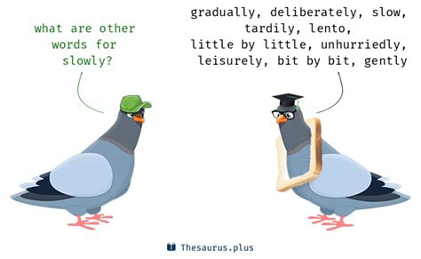 More 280 Slowly Synonyms. Similar words for Slowly.