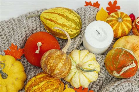 fall decor ideas   budget  complete guide