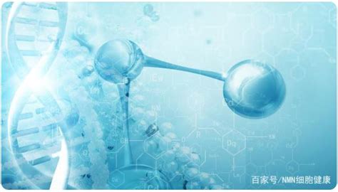 什么是nad？补充nad最有效的方式是什么？ 湖南酶时代生物科技有限公司