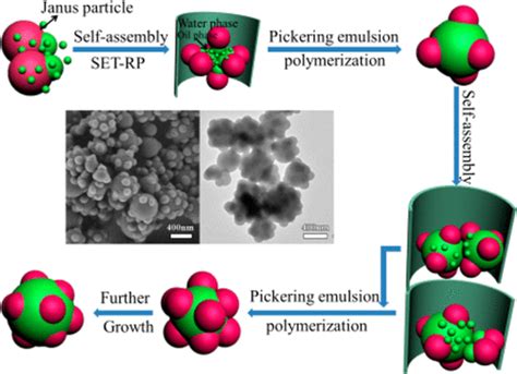 Architecture And Performance Of Raspberry Like Colloidal Particle