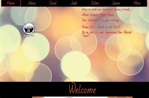 High End Sex Ring In Boston And D C Areas Was Honeypot Scheme By Russia China South Korea