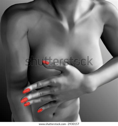 3d Illustration Adult Female Nude Model Stock Illustration 2930157 Shutterstock