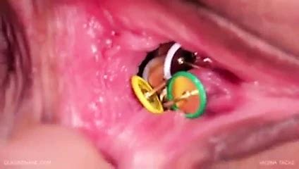 Queensnake Nettle Lovers BDSM Porn XHamster