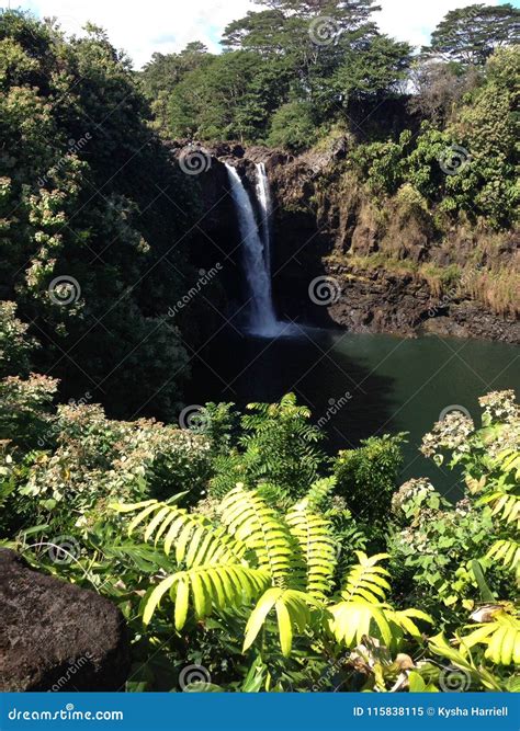 Rainbow Falls Lookout Hilo, Hawaii Stock Image - Image of beautiful