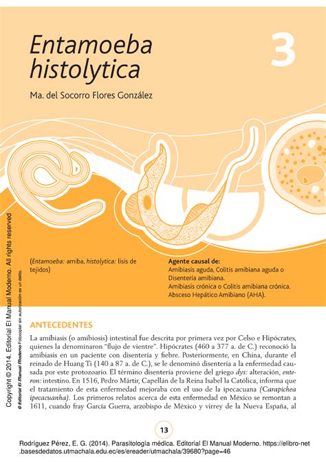 Entamoeba Hystolitica Resumen Rodr Guez P Rez E G