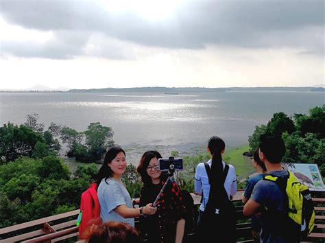 Adventures With The Naked Hermit Crabs 2018