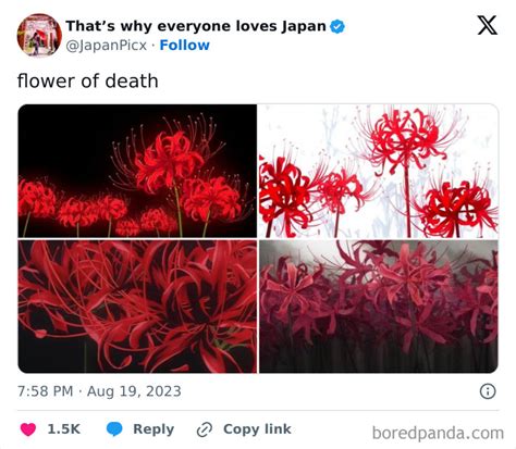 26 Cool Posts About All Things Japan That Prove It’s A Country Like No ...