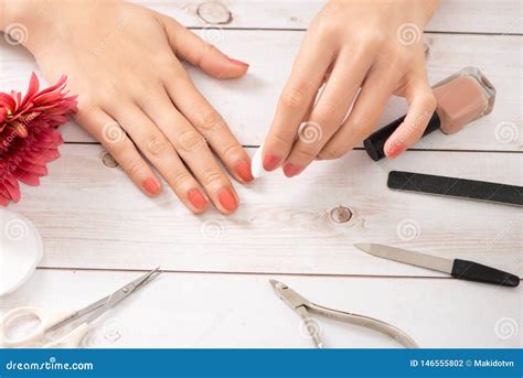 Female Hands With Nude Manicure Holding Cotton On A Stick Stock Photo Image Of Stick Remover