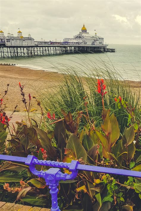 Eastbourne Pier Free Stock Photo - Public Domain Pictures