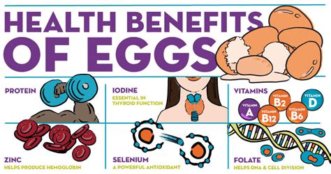 Health Benefits Of Eggs Baptist Health