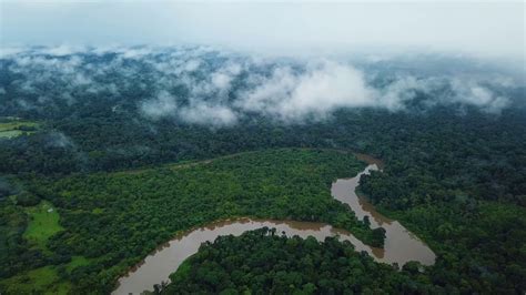 French Guiana Drone 2018 Landscapes 4k Youtube