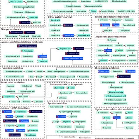 Metabolites And Interactions In The 14 Significantly Altered Metabolic