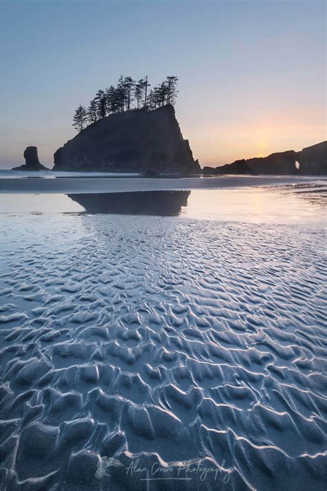 Second Beach Olympic National Park - Alan Crowe Photography