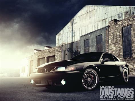 Terminator Cobra Wallpaper