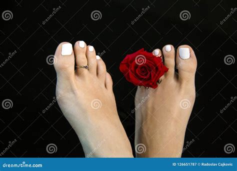 Detail Of Pretty Female Feet With Beauty Red Rose Flower Isolated On