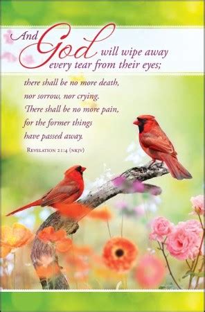 Wipe Away Every Tear (Revelation 21:4, NKJV) Bulletins, 100 ...