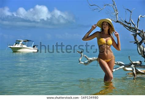 Bikini Model Straw Hat Posing Sexy Stock Photo Shutterstock