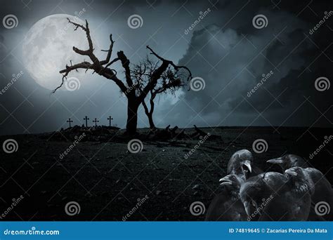 Naked Moon Stock Photos Free Royalty Free Stock Photos From Dreamstime