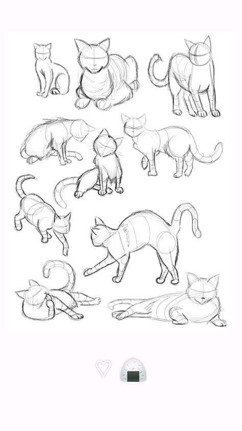 How To Draw A Cat Artofit