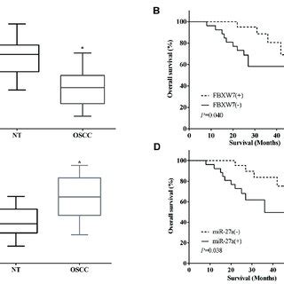 Mir A Reversed Partial Function Of Fbxw On The Proliferation And