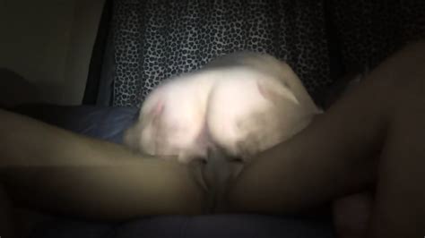 Big Ass Wife Cheating With Black Neighbor I Found Her At Affairs One