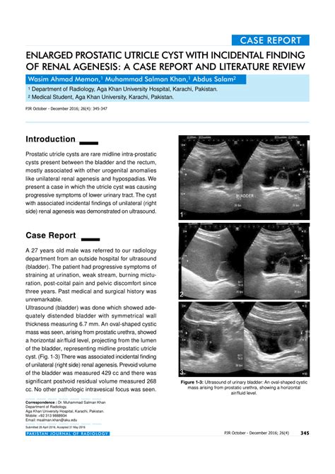 Pdf Enlarged Prostatic Utricle Cyst With Incidental Finding Of Renal Agenesis A Case Report