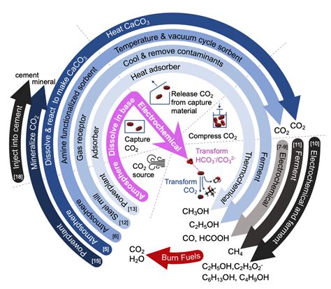 Bicarbonate Or Carbonate Processes For Coupling Carbon Dioxide Capture