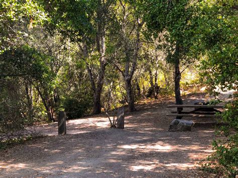 Henry Cowell Redwood State Park Campground – Roadside Secrets