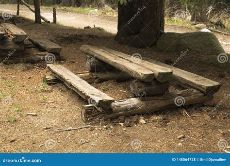 Aire De Pique Nique Dans La R Gion Bois E Avec Des Bancs Et Des Tables