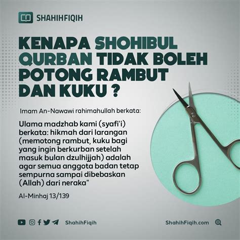 Larangan Memotong Rambut Dan Kuku Bagi Yang Berkurban Amy Lambert