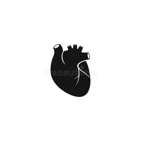 Human Heart Anatomical Realistic Heart Line Art Vector Illustration