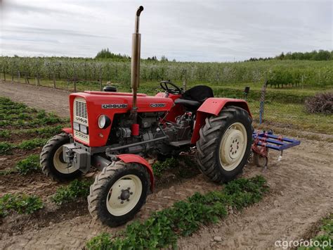 Obraz traktor Ursus C-330M #753774 - Galeria rolnicza agrofoto