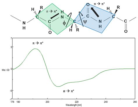 Circular Dichroism Secondary Structure Analysis at Gabrielle Pillinger blog
