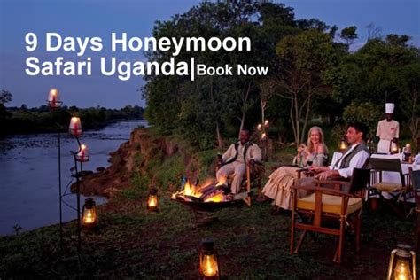 Luxury Uganda Safaris Primate Trekking Wildlife Safaris